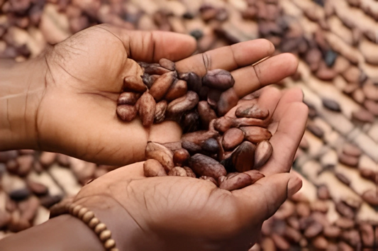 Cacao for peace, Cacao for the future.