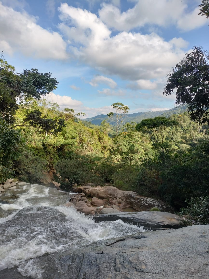 San Roque Cacao – Our home grown cacao