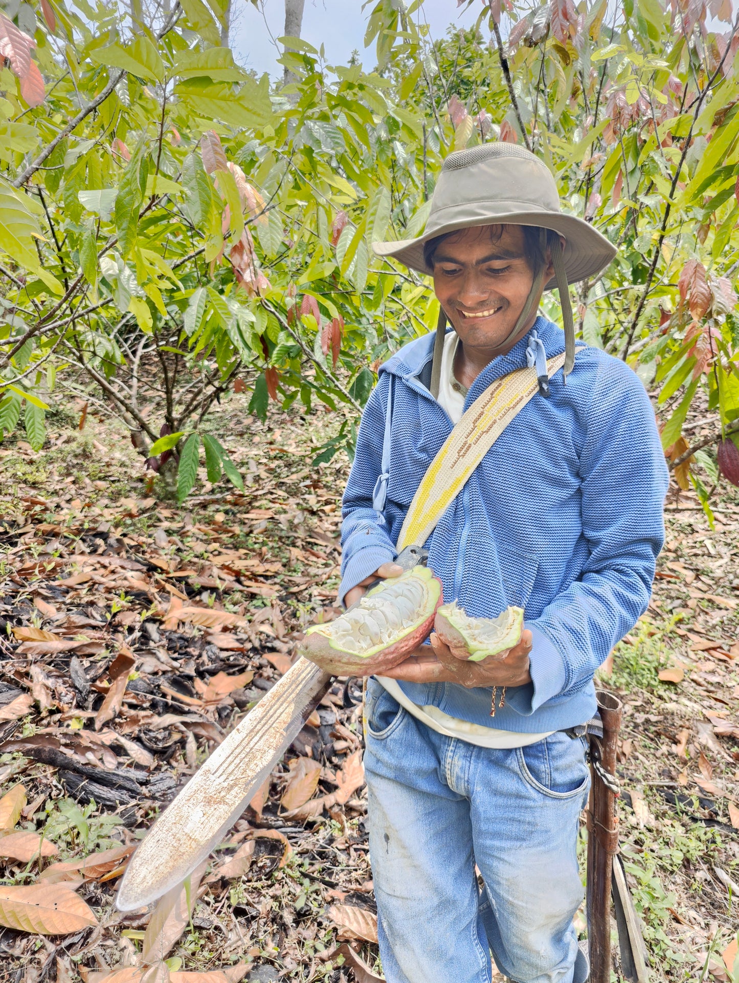 San Roque Cacao – Our home grown cacao