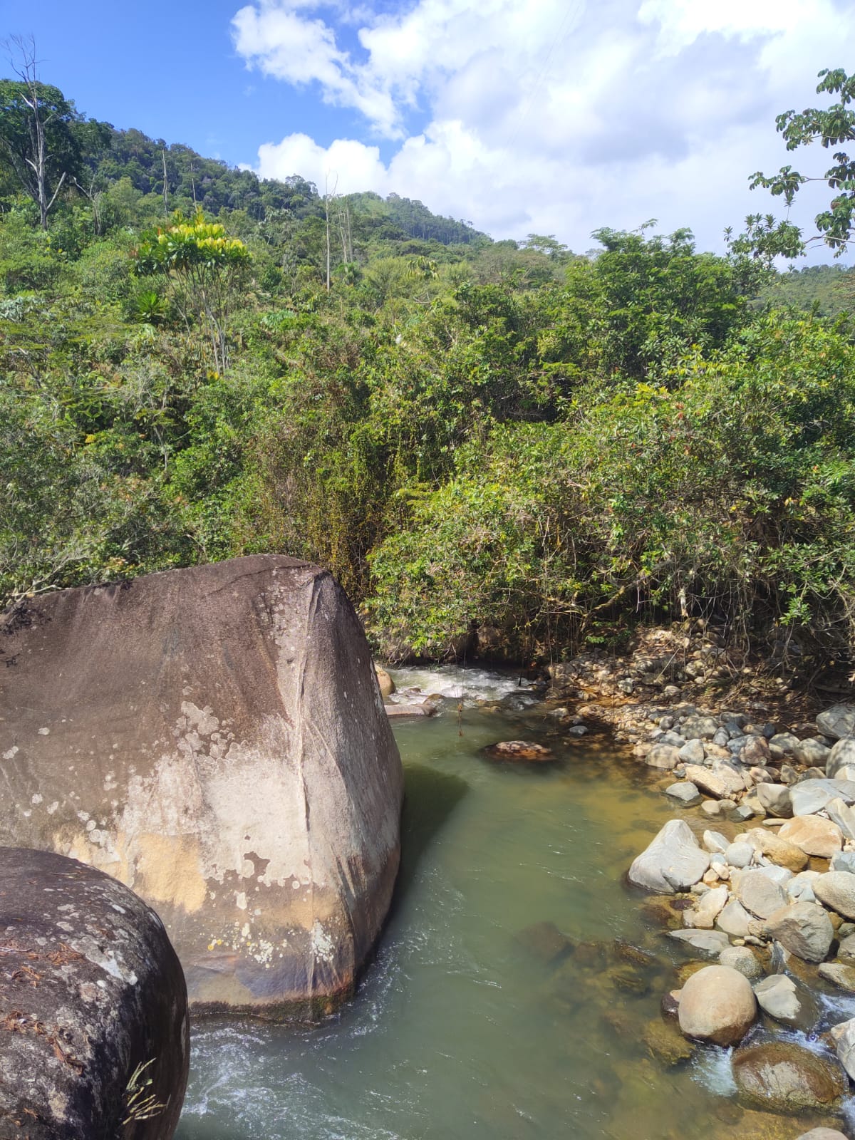 San Roque Cacao – Our home grown cacao