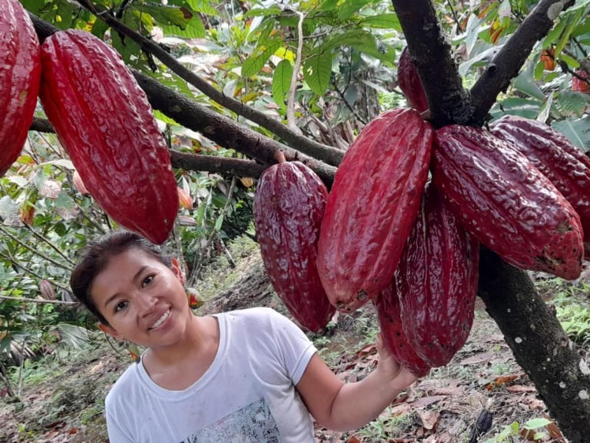 Putumayo Cacao
