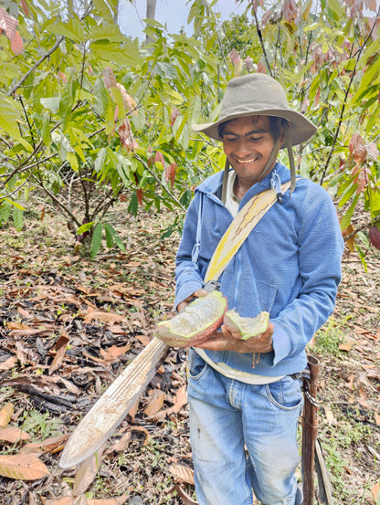 San Roque Cacao – Our home grown cacao