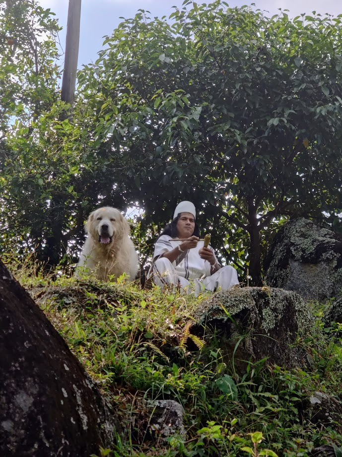 Ceremonial Cacao Paste – Sierra Nevada, Arhuaco Indigenous Grown