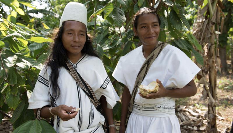 Ceremonial Cacao Paste – Sierra Nevada, Arhuaco Indigenous Grown