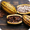 Caffeine-free, natural cacao tea with benefits.